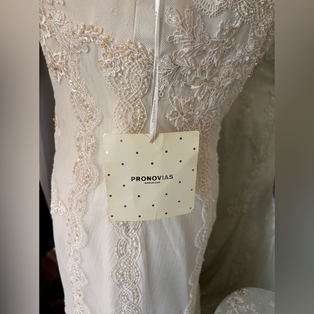 Pronovias Barcelona Huella Vintage Inspired Lace Wedding Gown - Picture 12 of 15